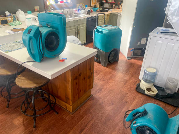 Best Mold removal after water damage  in Bardstown, KY