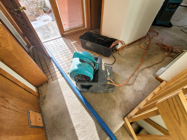 Reliable KY Water damage restoration Solutions