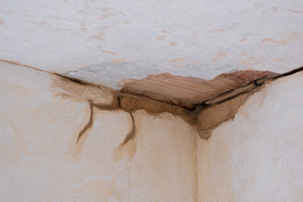 Best 24-hour water damage restoration  in Bardstown, KY