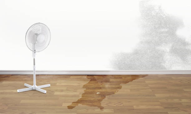 Best 24/7 water damage repair  in Bardstown, KY