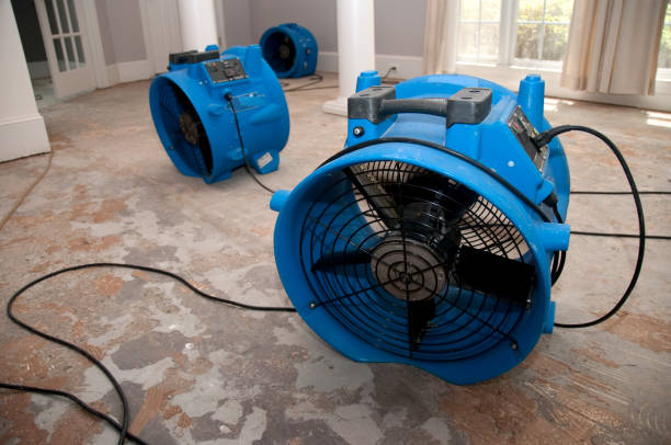 Best Flooded house restoration  in Bardstown, KY