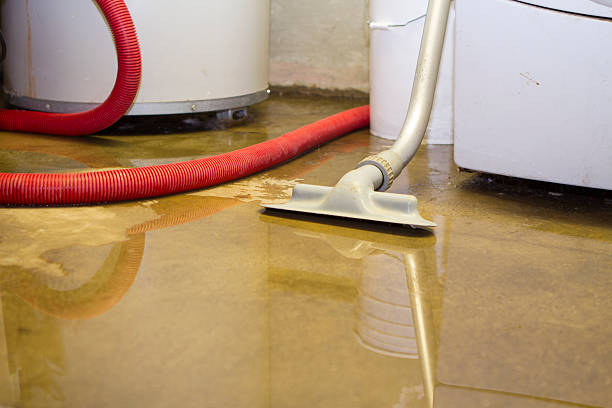 Best 24-hour water damage restoration  in Bardstown, KY