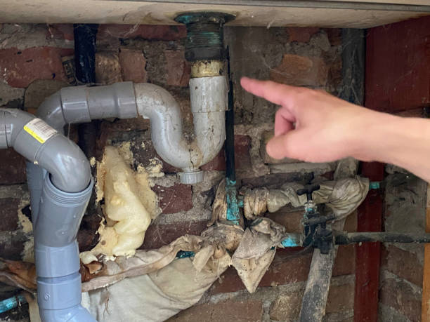 Best Water damage restoration services  in Bardstown, KY